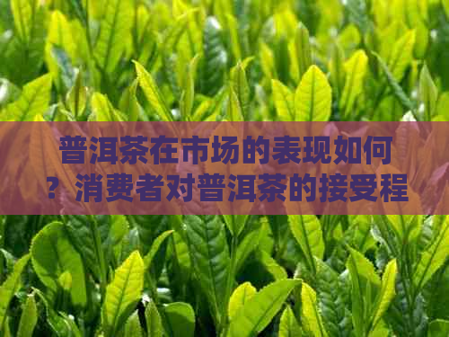 普洱茶在市场的表现如何？消费者对普洱茶的接受程度及购买惯探讨