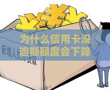 为什么信用卡没逾期额度会下降？