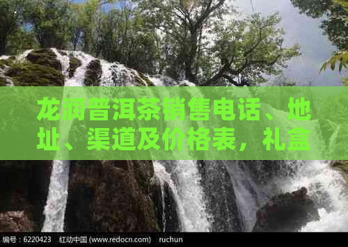 龙润普洱茶销售电话、地址、渠道及价格表，礼盒系列尽在！