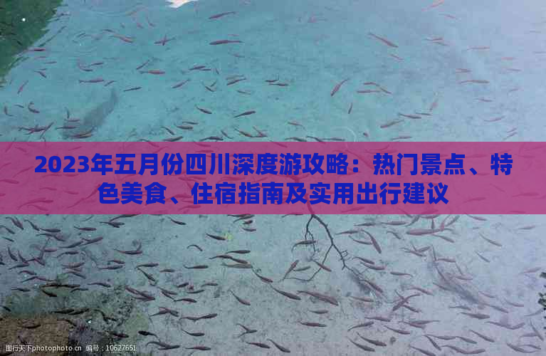 2023年五月份四川深度游攻略：热门景点、特色美食、住宿指南及实用出行建议