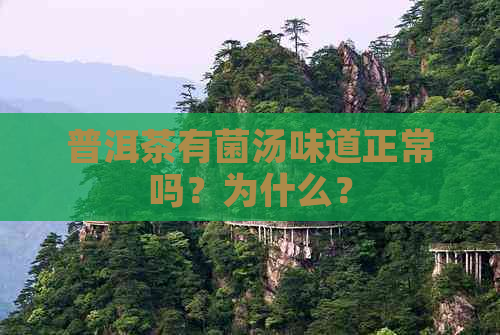 普洱茶有菌汤味道正常吗？为什么？