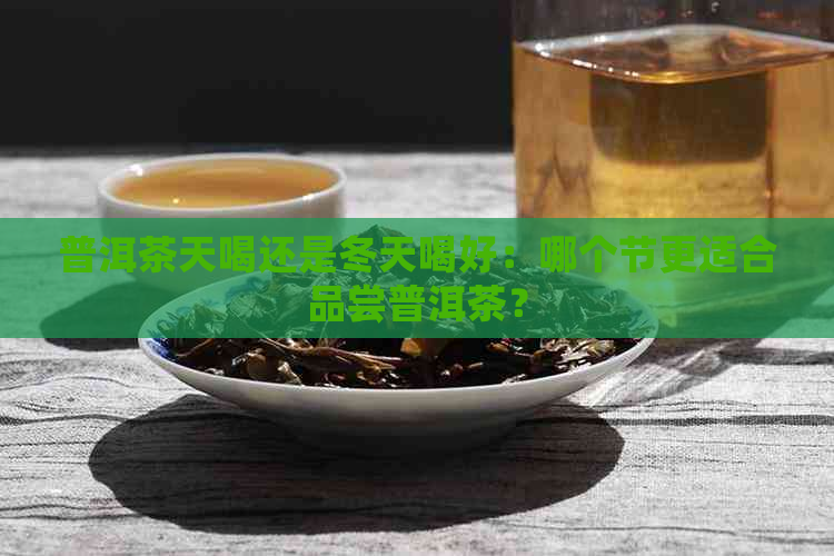 普洱茶天喝还是冬天喝好：哪个节更适合品尝普洱茶？