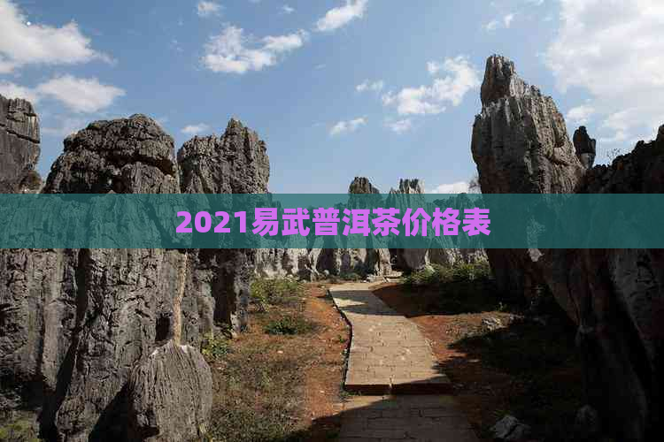 2021易武普洱茶价格表