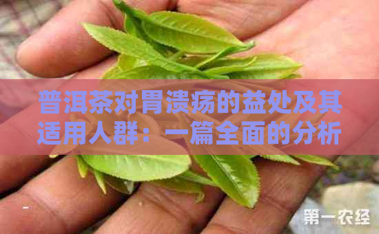 普洱茶对胃溃疡的益处及其适用人群：一篇全面的分析文章