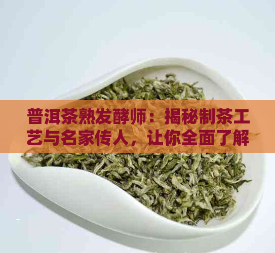 普洱茶熟发酵师：揭秘制茶工艺与名家传人，让你全面了解普洱茶的魅力