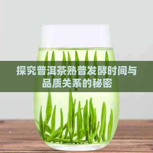 探究普洱茶熟普发酵时间与品质关系的秘密