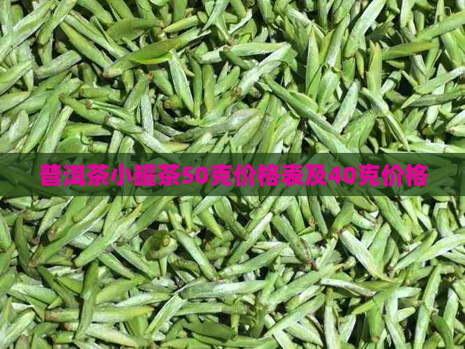 普洱茶小罐茶50克价格表及40克价格