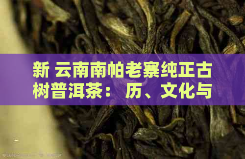 新 云南南帕老寨纯正古树普洱茶： 历、文化与品质的完美融合