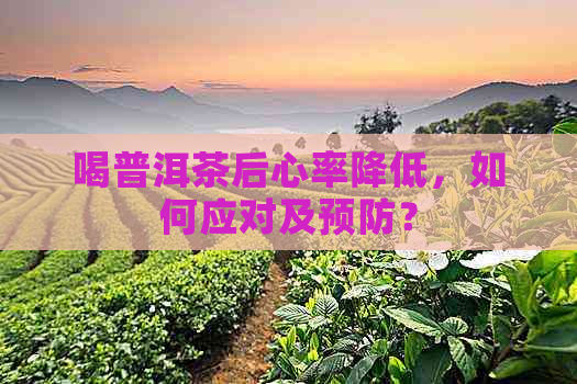 喝普洱茶后心率降低，如何应对及预防？