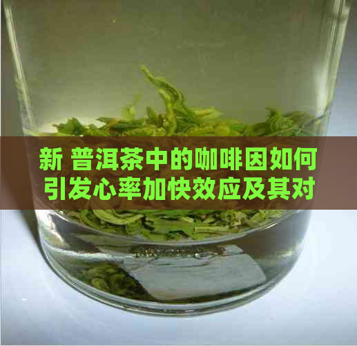 新 普洱茶中的     如何引发心率加快效应及其对健的影响