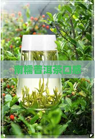 南糯普洱茶口感