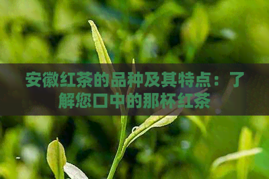 安徽红茶的品种及其特点：了解您口中的那杯红茶