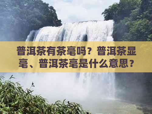 普洱茶有茶毫吗？普洱茶显毫、普洱茶毫是什么意思？普洱茶茶毫多好不好？