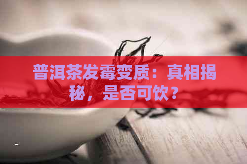 普洱茶发霉变质：真相揭秘，是否可饮？