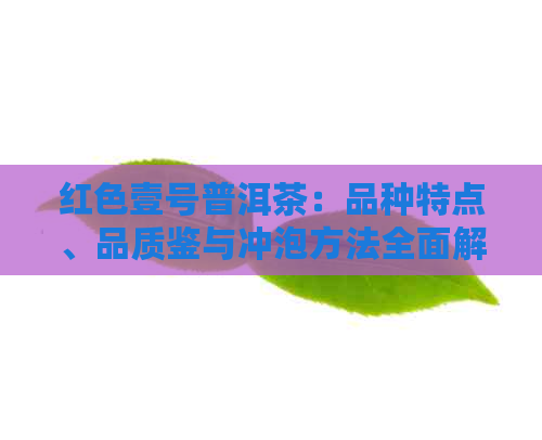 红色壹号普洱茶：品种特点、品质鉴与冲泡方法全面解析