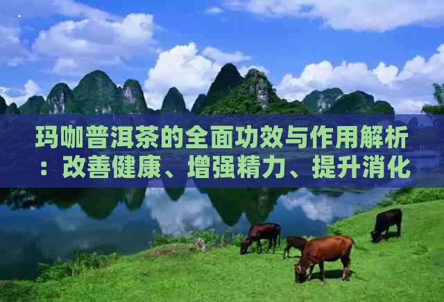 玛咖普洱茶的全面功效与作用解析：改善健康、增强精力、提升消化等多个方面