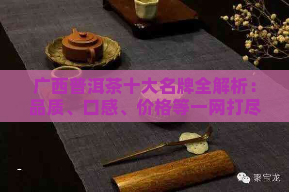 广西普洱茶十大名牌全解析：品质、口感、价格等一网打尽，助您轻松选购！