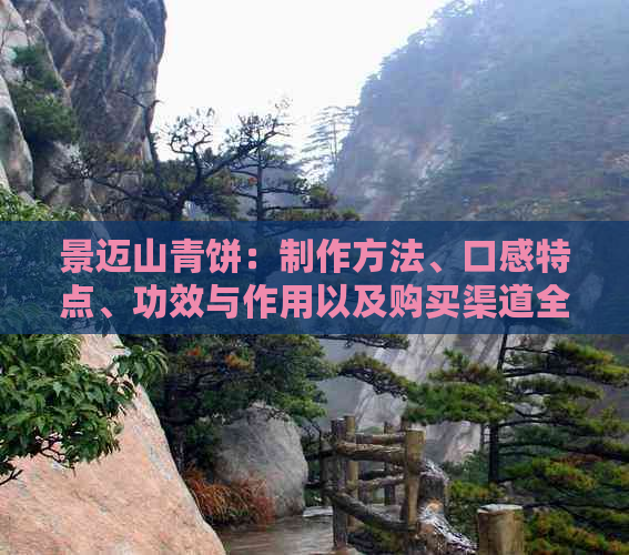 景迈山青饼：制作方法、口感特点、功效与作用以及购买渠道全方位解析