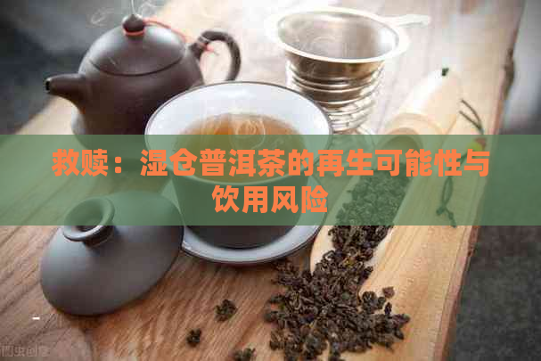 救赎：湿仓普洱茶的再生可能性与饮用风险