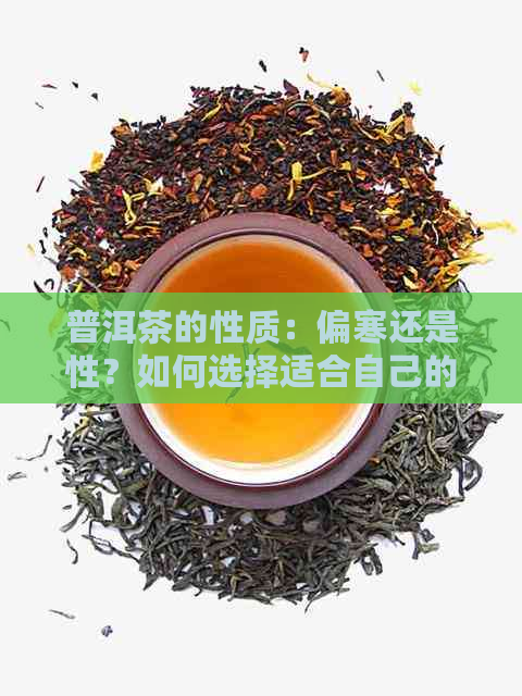 普洱茶的性质：偏寒还是性？如何选择适合自己的普洱茶？