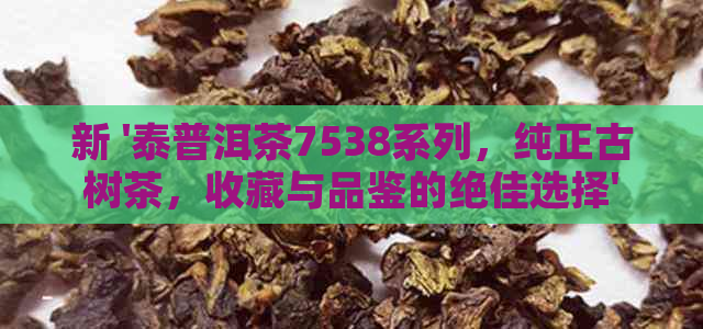 新 '泰普洱茶7538系列，纯正古树茶，收藏与品鉴的绝佳选择'