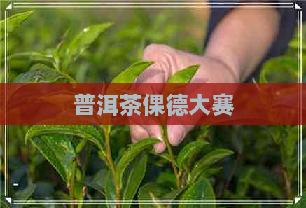 普洱茶倮德大赛