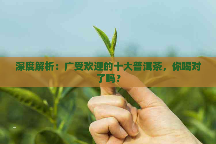 深度解析：广受欢迎的十大普洱茶，你喝对了吗？