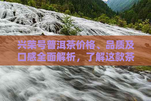 兴荣号普洱茶价格、品质及口感全面解析，了解这款茶需要的所有信息