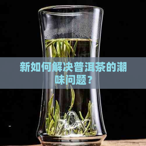 新如何解决普洱茶的潮味问题？