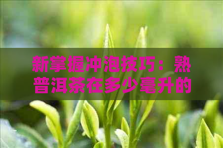 新掌握冲泡技巧：熟普洱茶在多少毫升的杯子里？