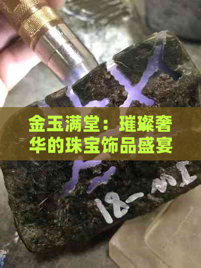 金玉满堂：璀璨奢华的珠宝饰品盛宴