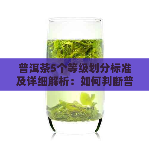 普洱茶5个等级划分标准及详细解析：如何判断普洱茶的品质？