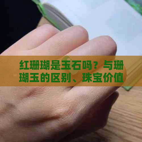 红珊瑚是玉石吗？与珊瑚玉的区别、珠宝价值以及石头属性等相关问题。