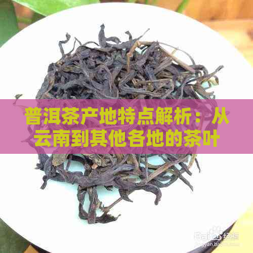 普洱茶产地特点解析：从云南到其他各地的茶叶风味与制作差异