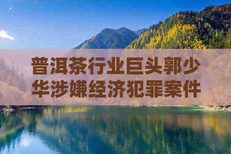 普洱茶行业巨头郭少华涉嫌经济犯罪案件的法律分析与解决探讨