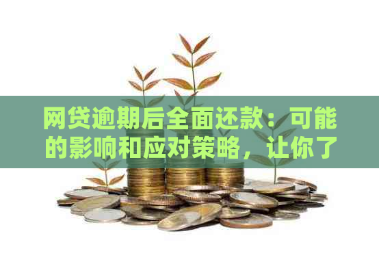 网贷逾期后全面还款：可能的影响和应对策略，让你了解清楚