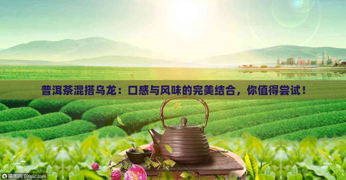 普洱茶混搭乌龙：口感与风味的完美结合，你值得尝试！