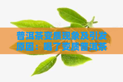 普洱茶变质现象及引发原因：喝了变质普洱茶的味道如何？