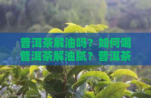 普洱茶解油吗？如何喝普洱茶解油腻？普洱茶真的能解腻吗？