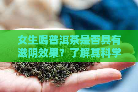 女生喝普洱茶是否具有滋阴效果？了解其科学依据与适合的饮用方法