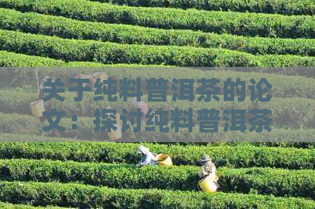 关于纯料普洱茶的论文：探讨纯料普洱茶的质量与价值