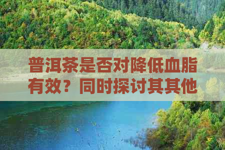 普洱茶是否对降低血脂有效？同时探讨其其他潜在健康益处及饮用方法