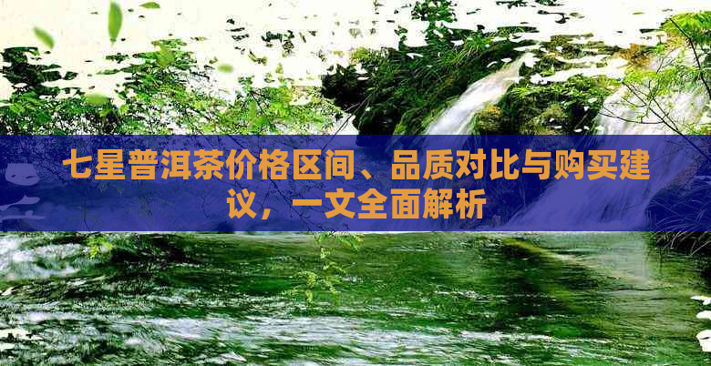 七星普洱茶价格区间、品质对比与购买建议，一文全面解析