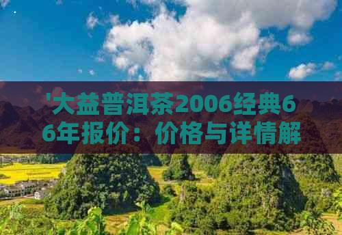 '大益普洱茶2006经典66年报价：价格与详情解析'