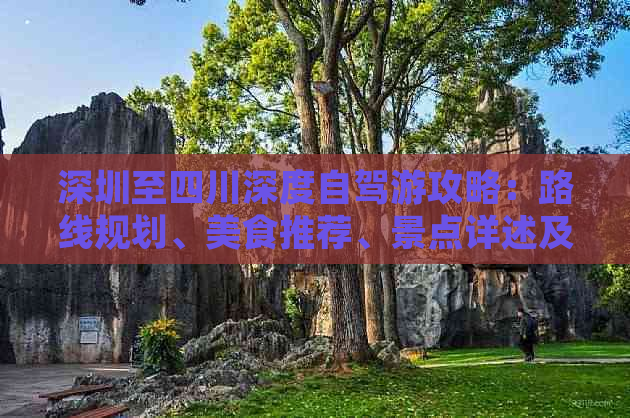 深圳至四川深度自驾游攻略：路线规划、美食推荐、景点详述及住宿指南