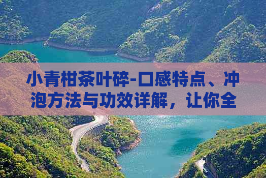 小青柑茶叶碎-口感特点、冲泡方法与功效详解，让你全面了解这款茶叶的魅力