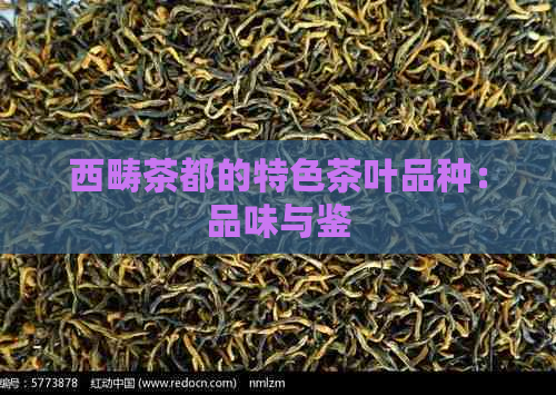 西畴茶都的特色茶叶品种：品味与鉴