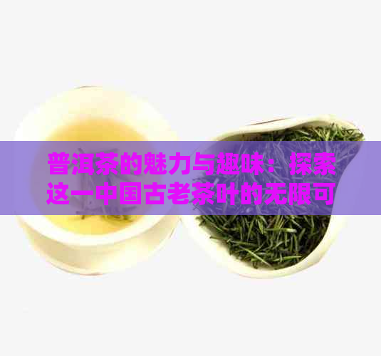 普洱茶的魅力与趣味：探索这一中国古老茶叶的无限可能