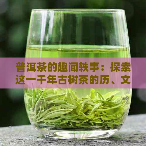 普洱茶的趣闻轶事：探索这一千年古树茶的历、文化和品饮技巧