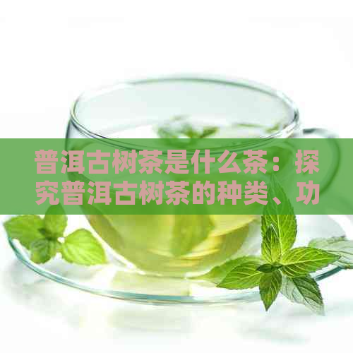 普洱古树茶是什么茶：探究普洱古树茶的种类、功效和作用